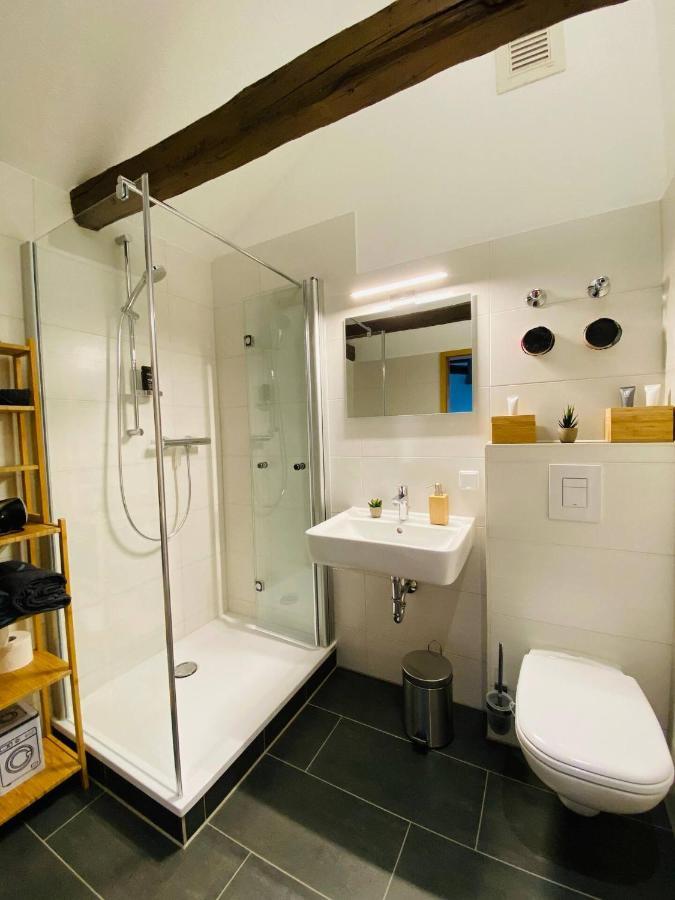 Yourfavoritebed Designapartment Im Zentrum 10 Zwickau Esterno foto